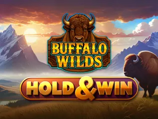 Buffalo Wilds icon