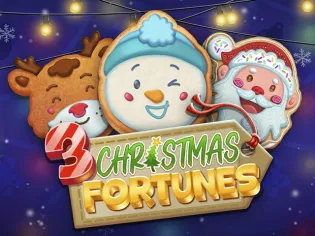 3 Christmas Fortunes icon